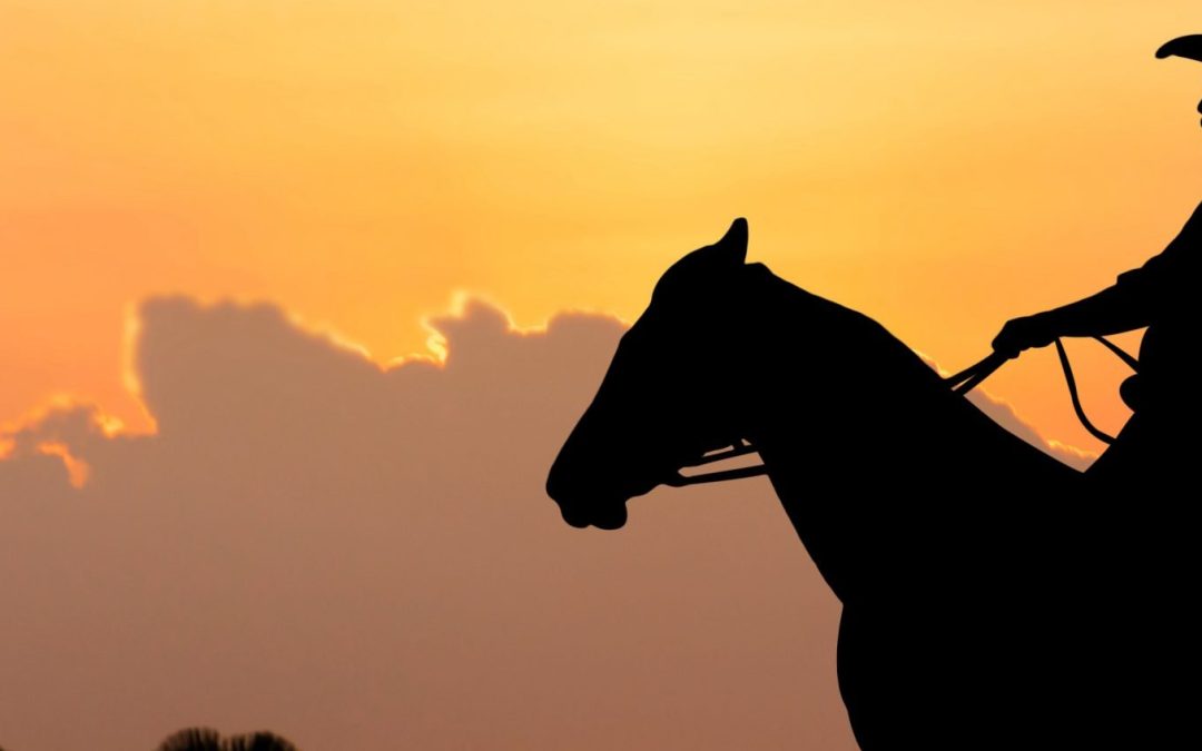 Assembling the Market Posse